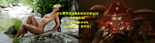 MDMA Premium VHQ Дмитровск
