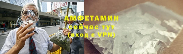 ПСИЛОЦИБИНОВЫЕ ГРИБЫ Дмитриев