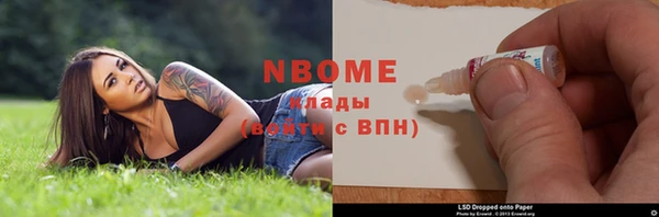 ПСИЛОЦИБИНОВЫЕ ГРИБЫ Дмитриев