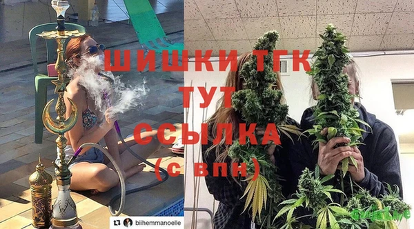 mdpv Елизово