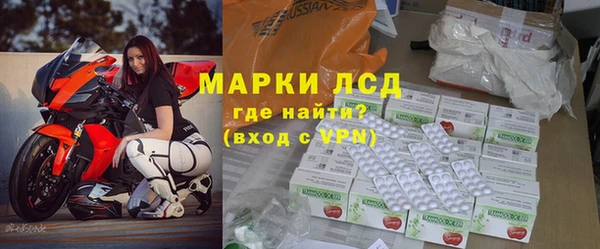 ПСИЛОЦИБИНОВЫЕ ГРИБЫ Дмитриев