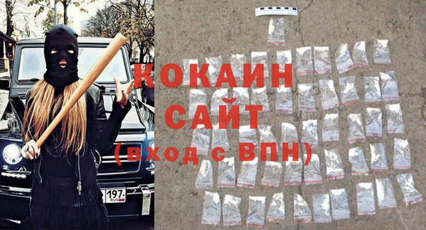 ПСИЛОЦИБИНОВЫЕ ГРИБЫ Дмитриев