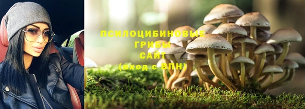 mdpv Елизово