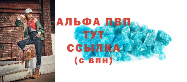 ПСИЛОЦИБИНОВЫЕ ГРИБЫ Дмитриев